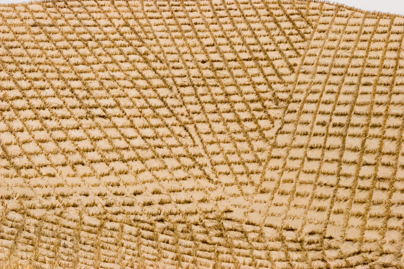 Desert Control, (244)